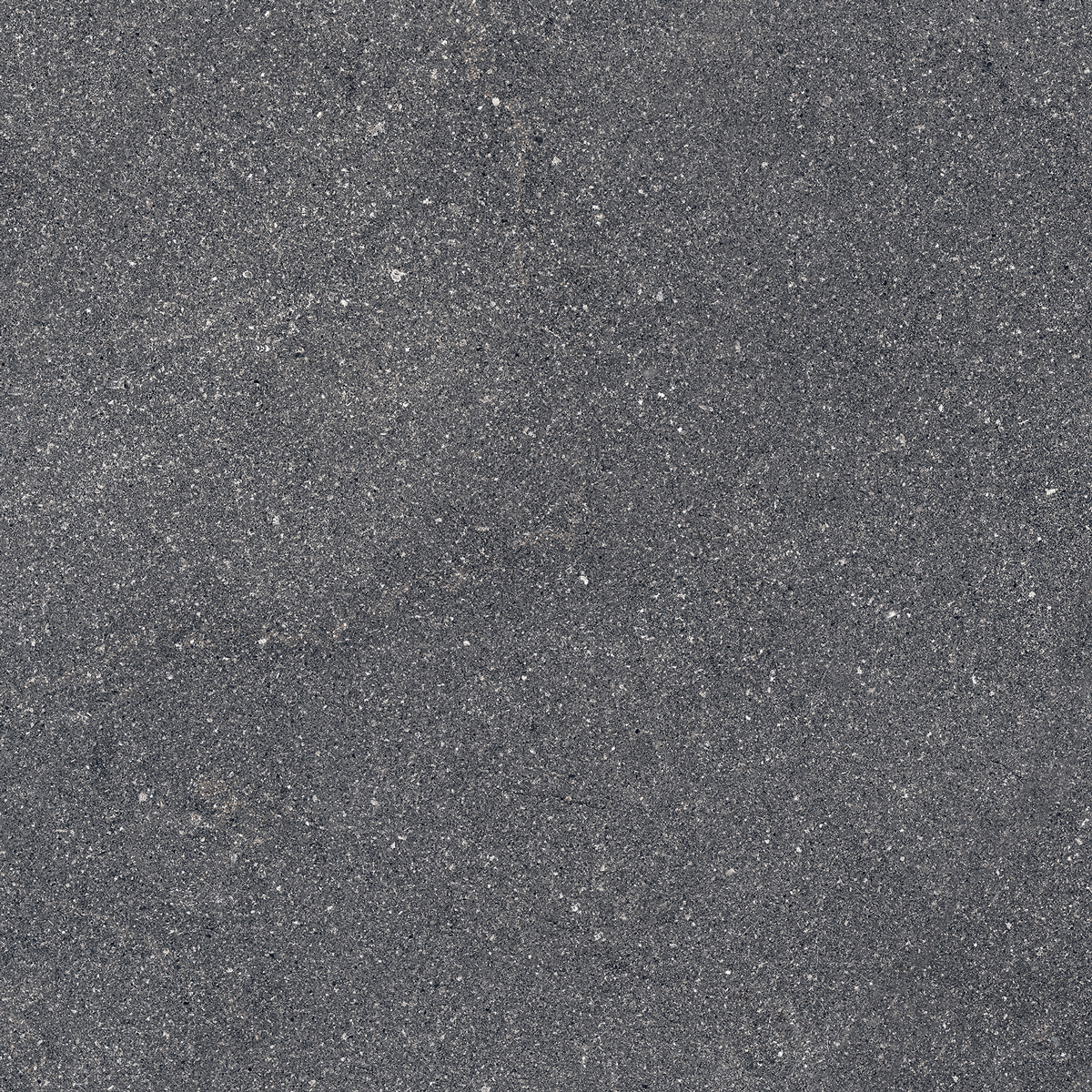 6060297-Atlas1.jpg