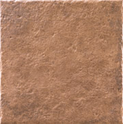 333332-Coralia-S.jpg